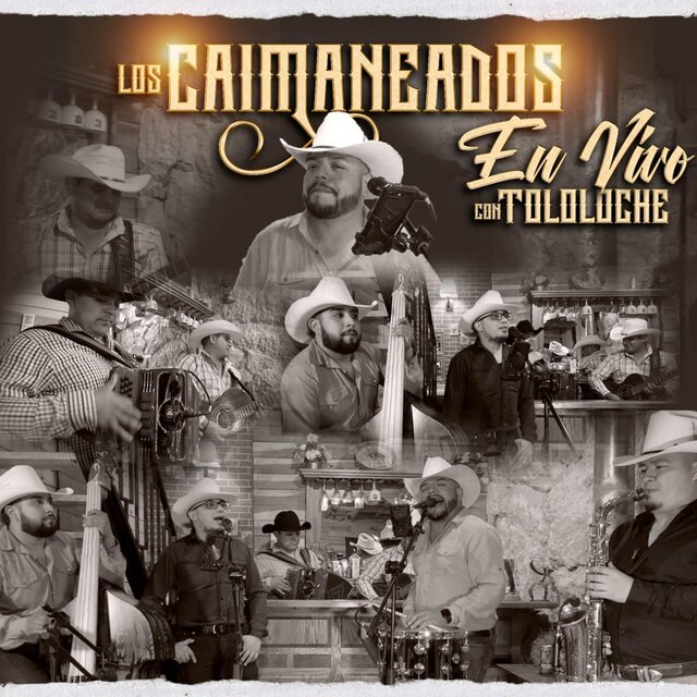 En vivo-toloche
