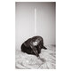 Cover art for album Materia by Julia Holter