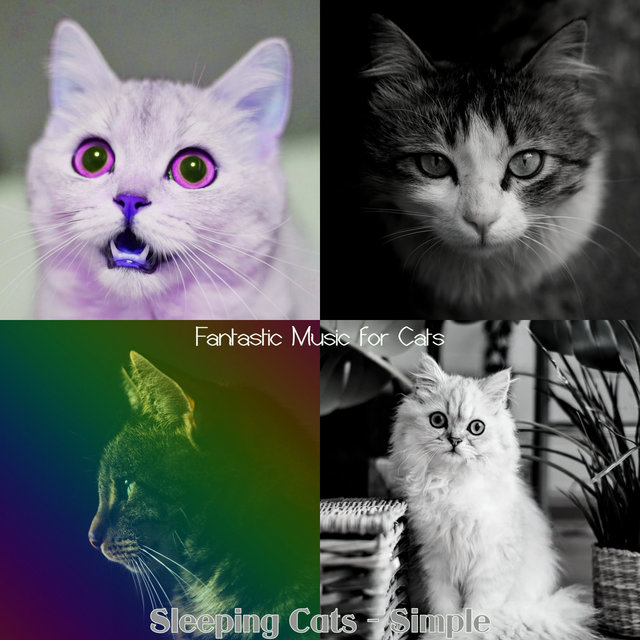 Sleeping Cats - Simple