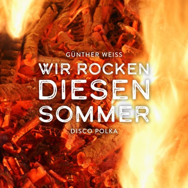 Wir rocken diesen Sommer (Disco Polka Mix)