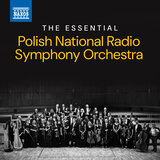 Symphony No. 3 in D Minor, GMW 31: V. Lustig im Tempo und keck im Ausdruck