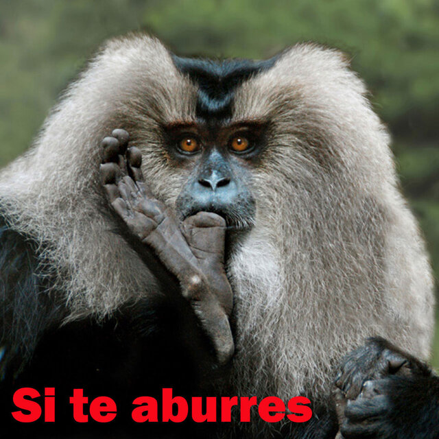 SI TE ABURRES