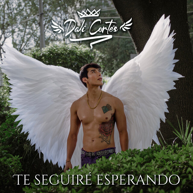 Te Seguiré Esperando