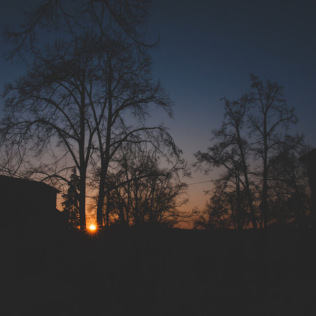 lost memories