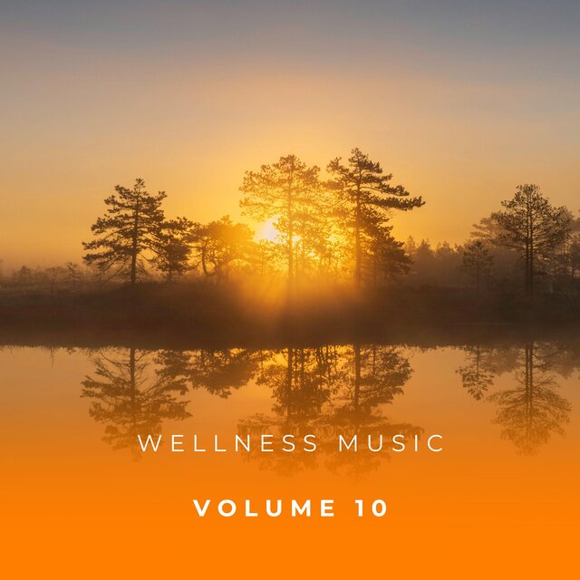 Wellness Music Vol. 10