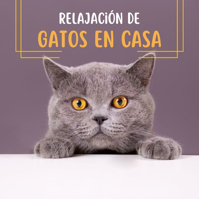 Relajación de Gatos en Casa: Sonidos Reconfortantes para la Ansiedad Felina