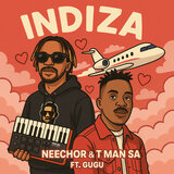 Indiza