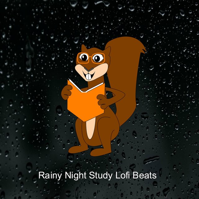 Rainy Night Study Lofi Beats