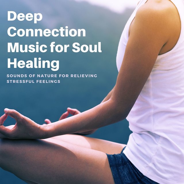 Deep Connection Music for Soul Healing: Sounds of Nature for Relieving Stressful Feelings