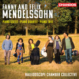 Quartet in A-Flat Major, H-U 55: I. Allegro moderato