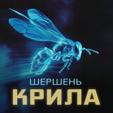 Заново