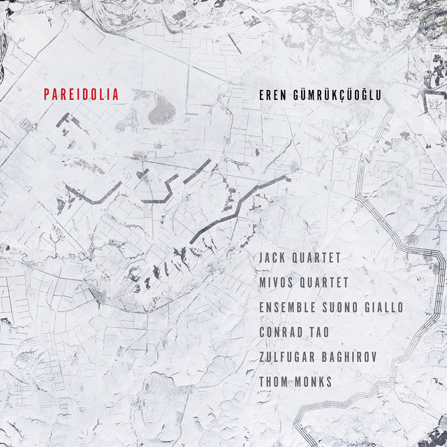 Eren Gümrükçüoğlu: Pareidolia