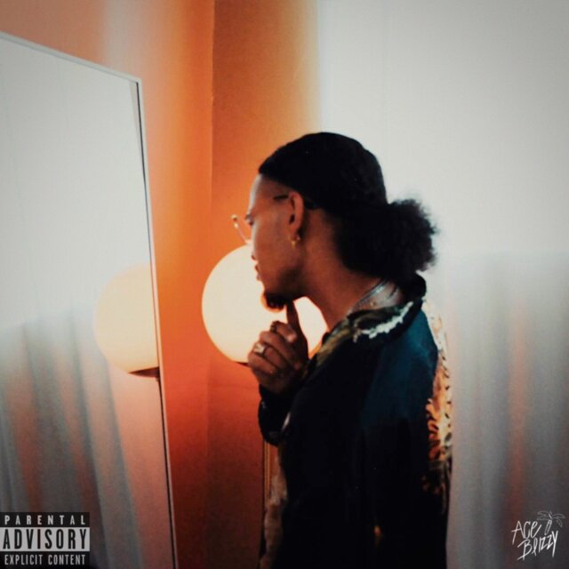 Cover art for album  by Ace Blizzy