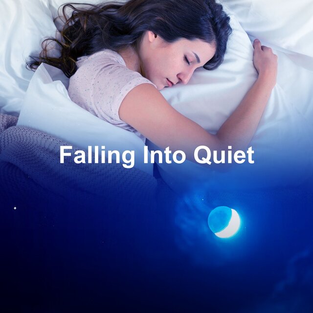 Falling Into Quiet