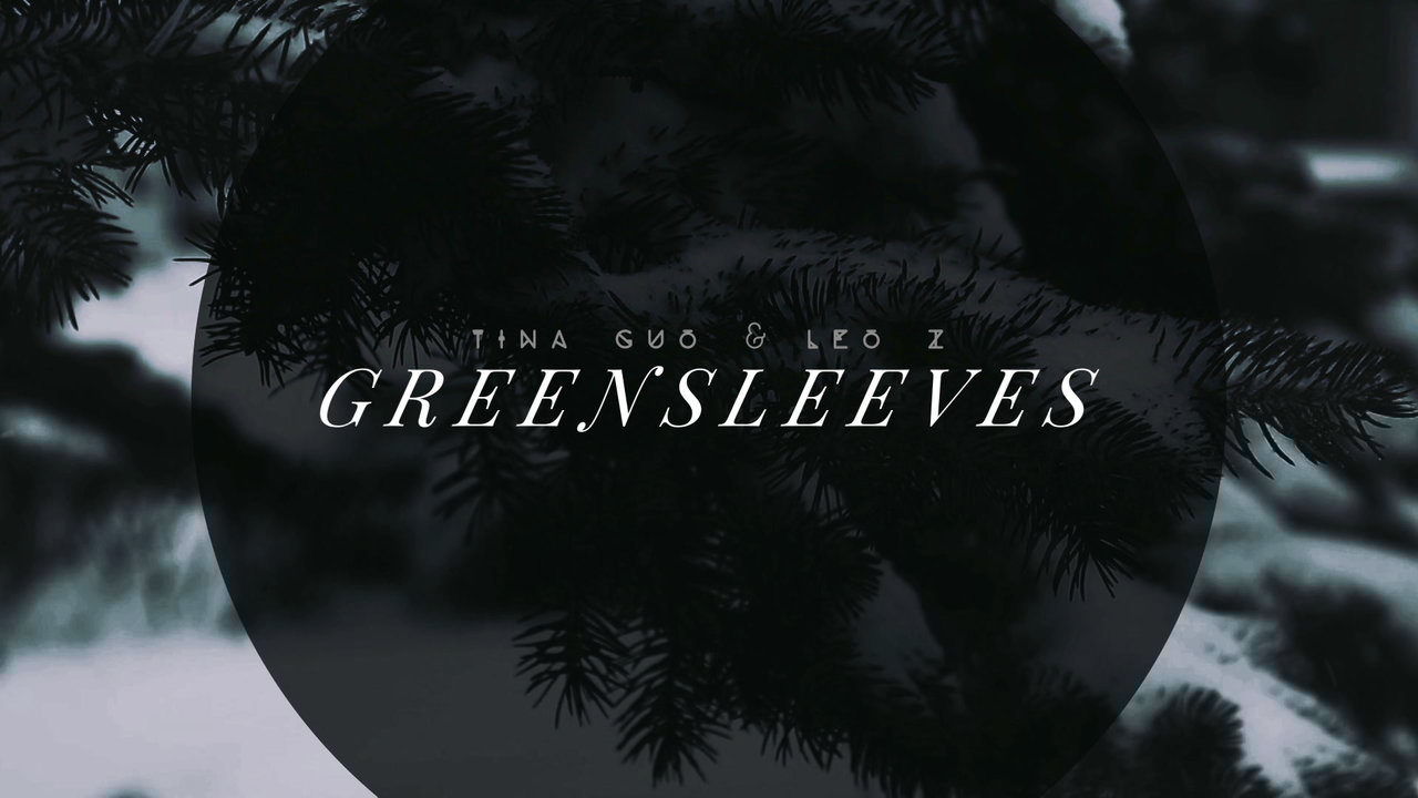 Greensleeves (from "Winter Night: Traces in the Snow") - Official Video