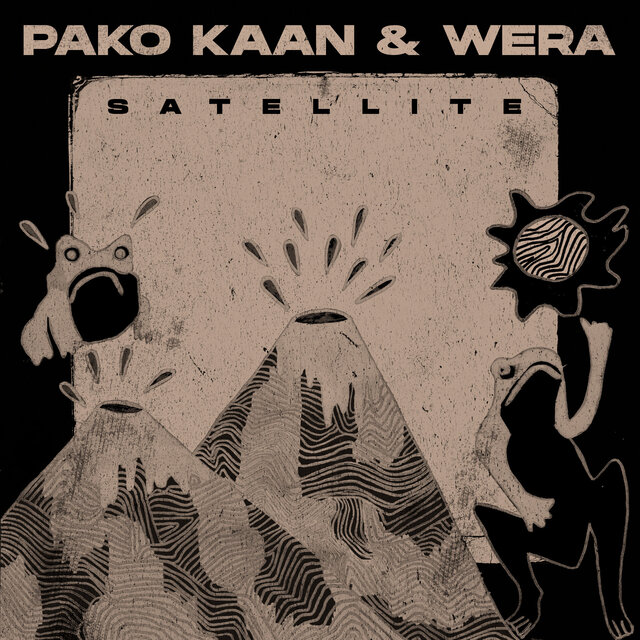 Satellite