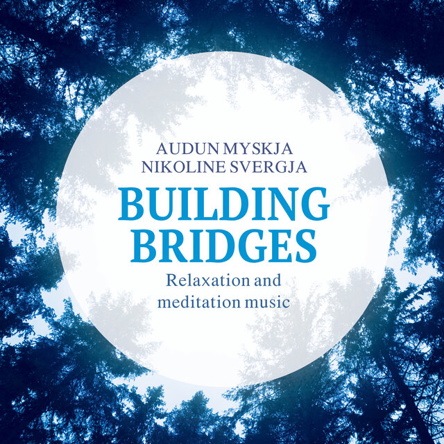 Building Bridges