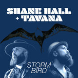 Storm Bird