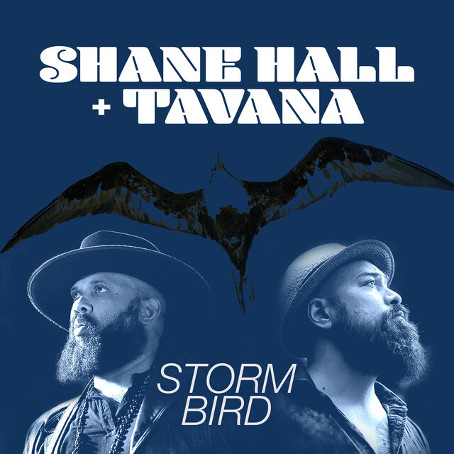 Storm Bird