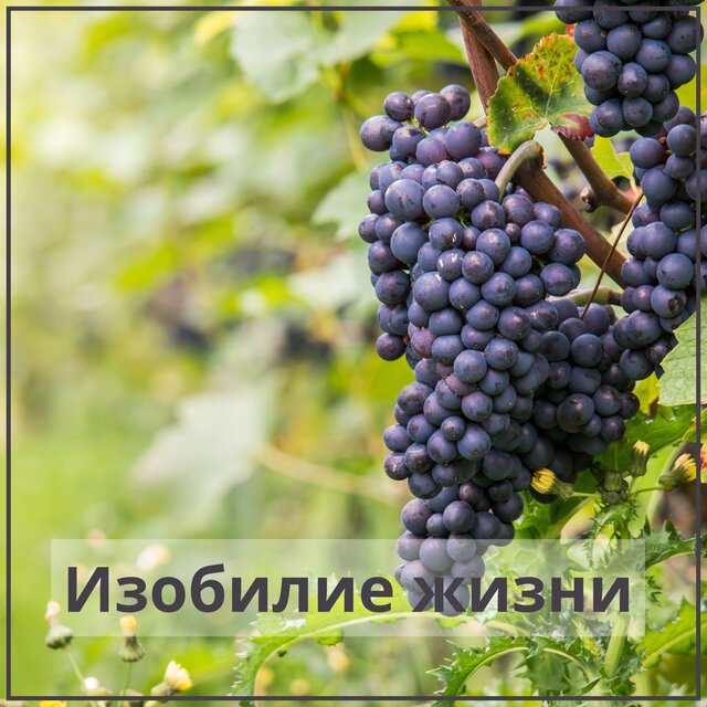 Изобилие жизни