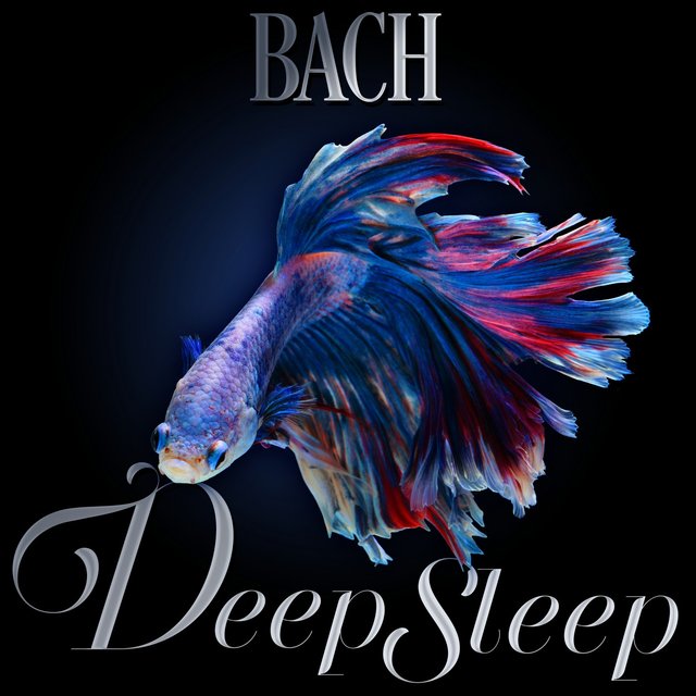Bach Deep Sleep