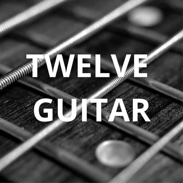 Twelve Guitar