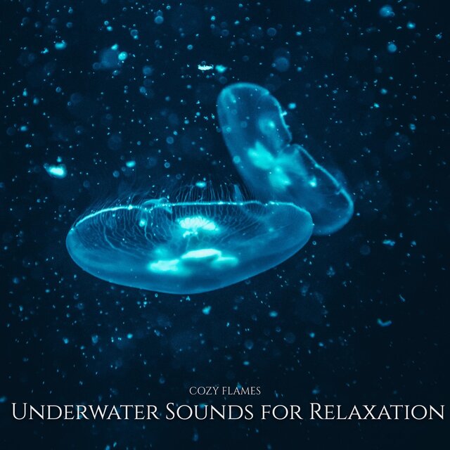 Underwater Sounds for Relaxation