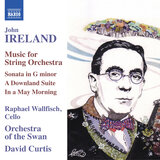 Summer Evening (Arr. for String Orchestra)