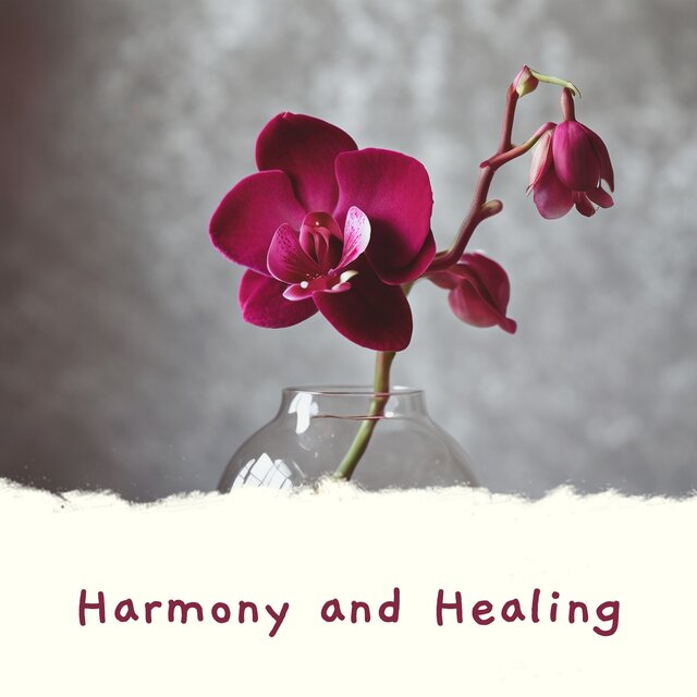 Harmony and Healing: Soothing Sounds for Stress Relief