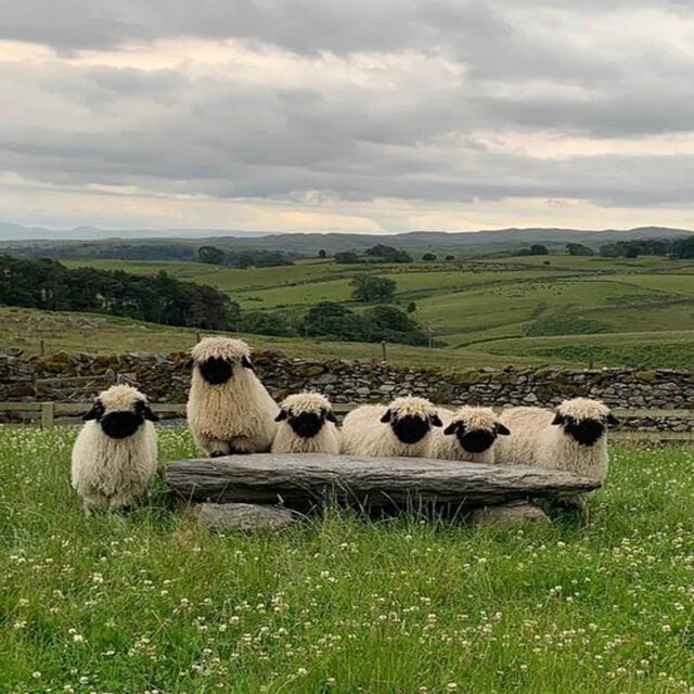 farming