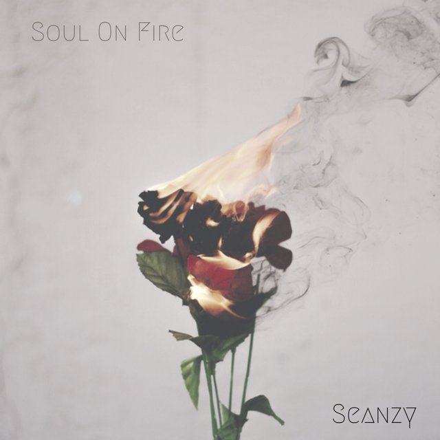 Soul on Fire
