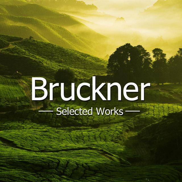 Bruckner - Selected Works