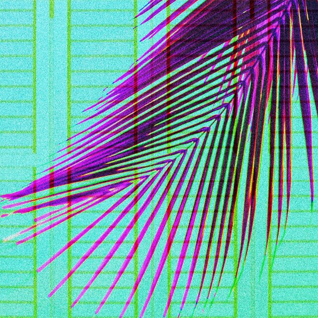 Elevate