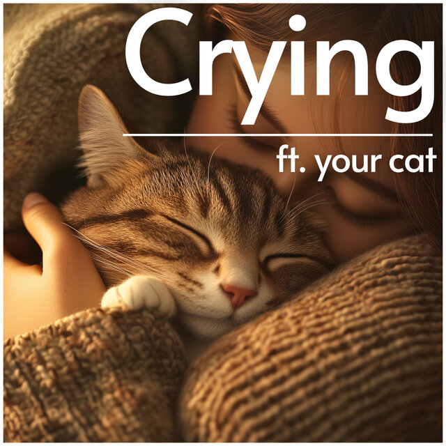 Songs to Cry to With Your Cat