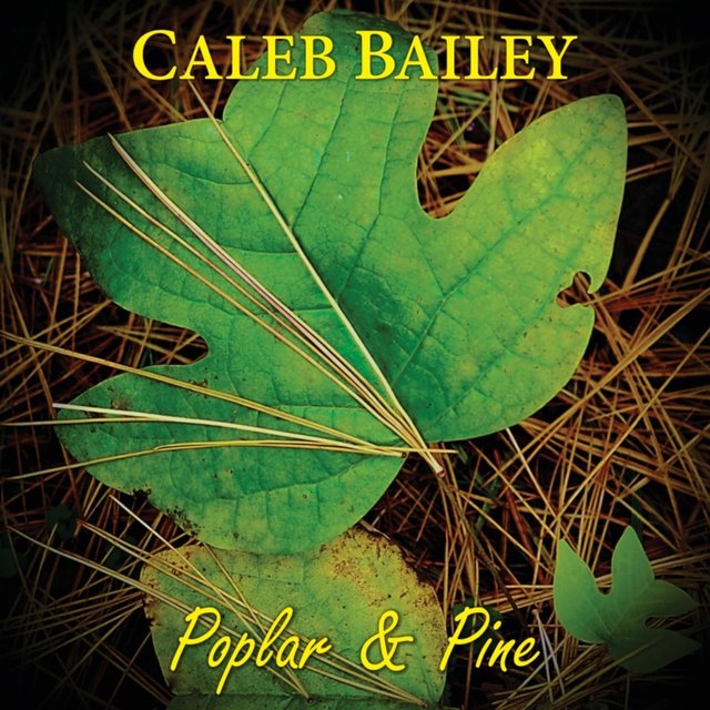 Poplar & Pine