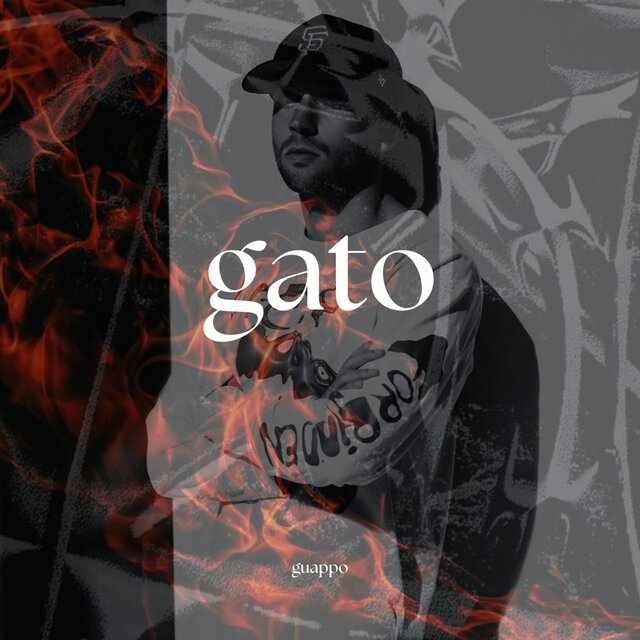 gato