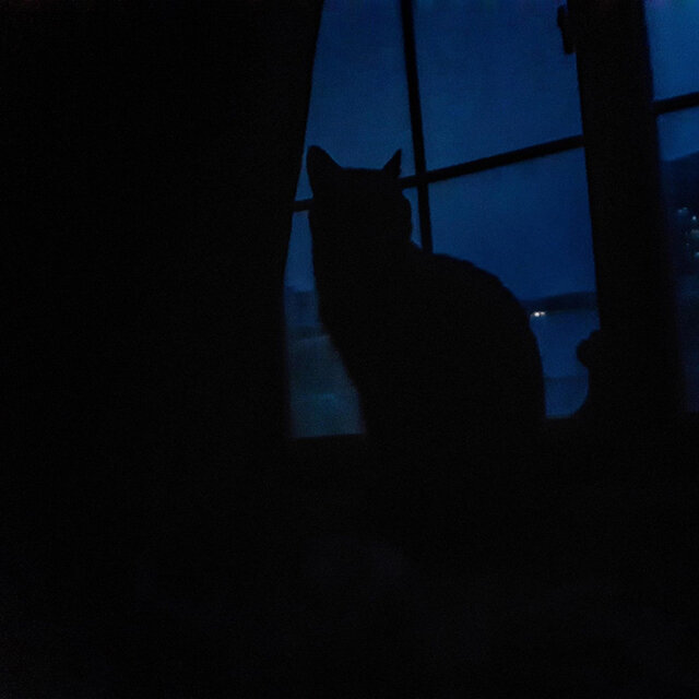 lonely