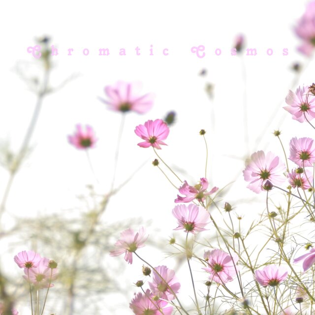 Chromatic Cosmos
