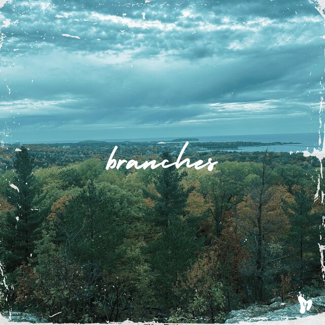 Branches
