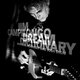 Cover art for album Dream Dictionary by Jim Campilongo, Chris Morrissey, Josh Dion, Nels Cline