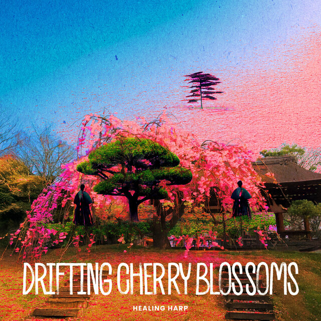 Drifting Cherry Blossoms