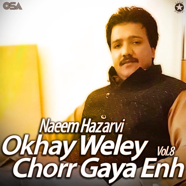 Okhay Weley Chorr Gaya Enh, Vol. 8