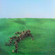 Cover art for album Bright Green Field by Squid