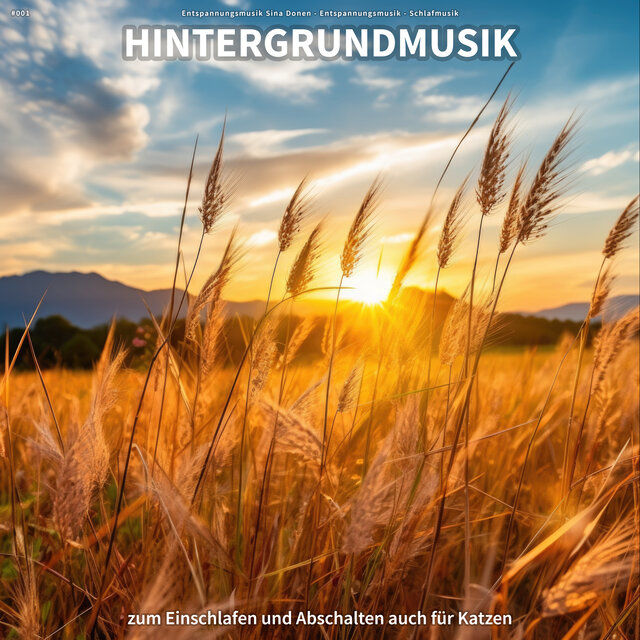 #001 Hintergrundmusik zum Einschlafen und Abschalten auch für Katzen
