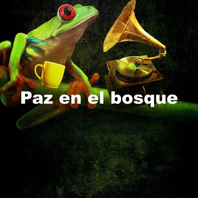 Paz en el bosque