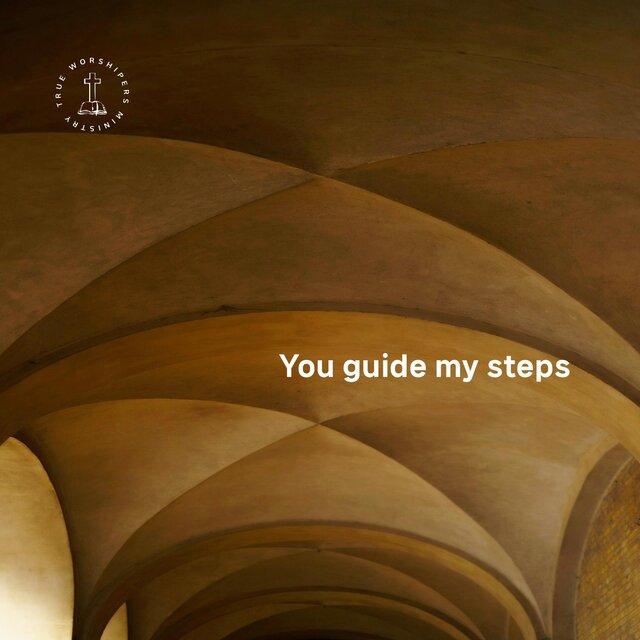 You guide my steps