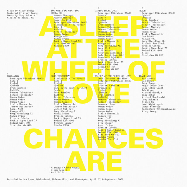 Asleep at the Wheel of Love
