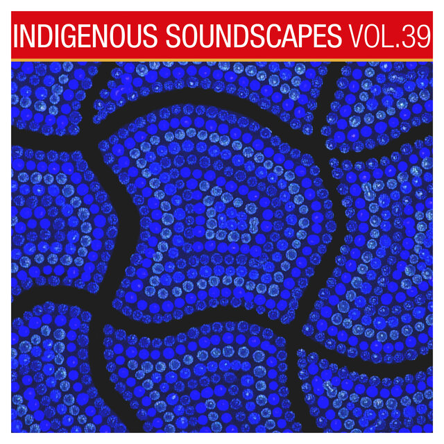 Indigenous Soundscapes, Vol. 39