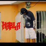 No Se Habla