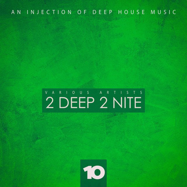 2 Deep 2 Nite, Vol. 10